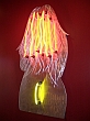 neon sculpture and neon wall sculpture